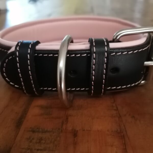 Leather Dog Collars Padded Black And Pink - Image 5