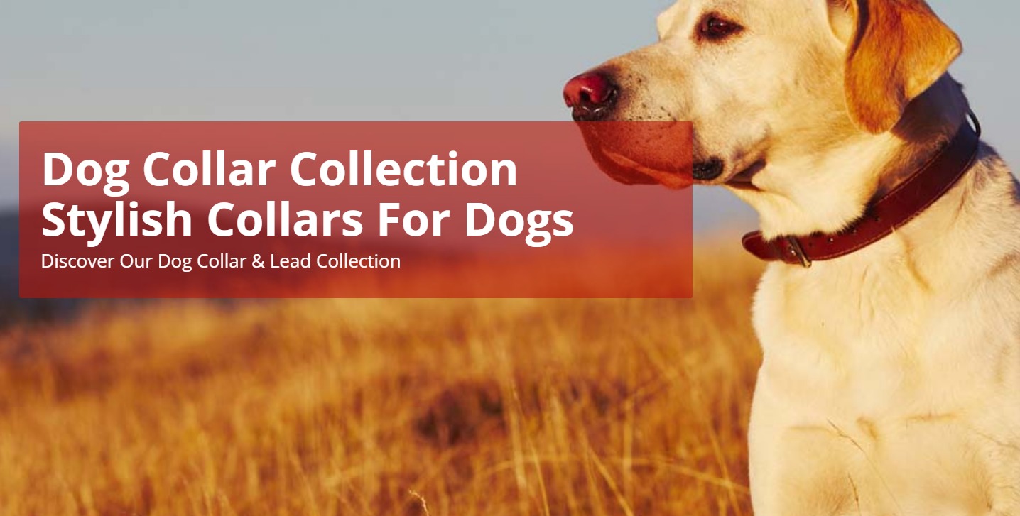 Dog Collars UK Designs Durable Luxury Dog Collar KoKo™