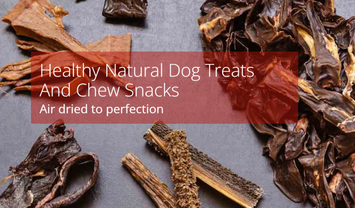 natural-dog-treats-natural-dog-chews-all-tasty-treats-koko